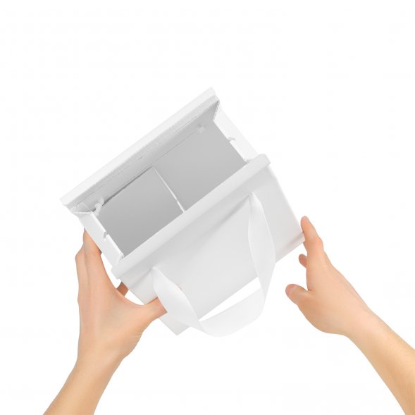 Подарочная коробка-пакет универсальная малая, белая, 186х100х277 мм (с ложементом) 