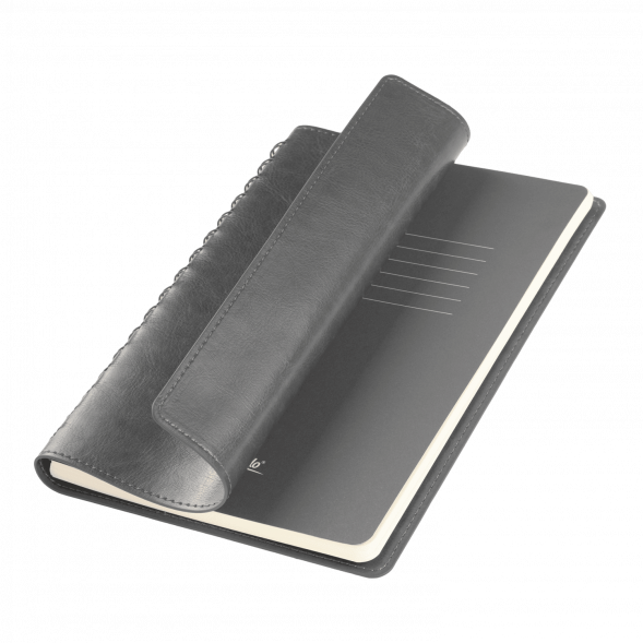 Ежедневник Vista Neo недатированный, серый 