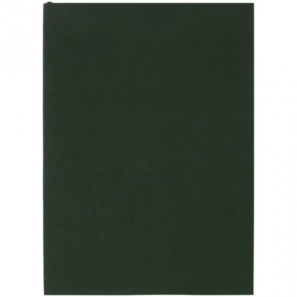 Ежедневник Flat Light, недатированный, зеленый 