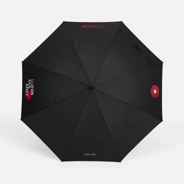 Зонт-трость Rainzee, черный 