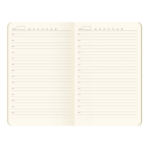 Ежедневник Latte Ecoline недатированный с антибактериальным покрытием, зеленый 