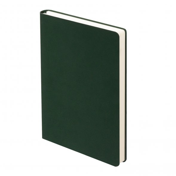 Ежедневник Latte Ecoline недатированный с антибактериальным покрытием, зеленый 