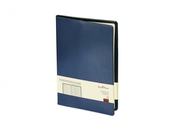 Еженедельник недатированный А4 Profy, синий 