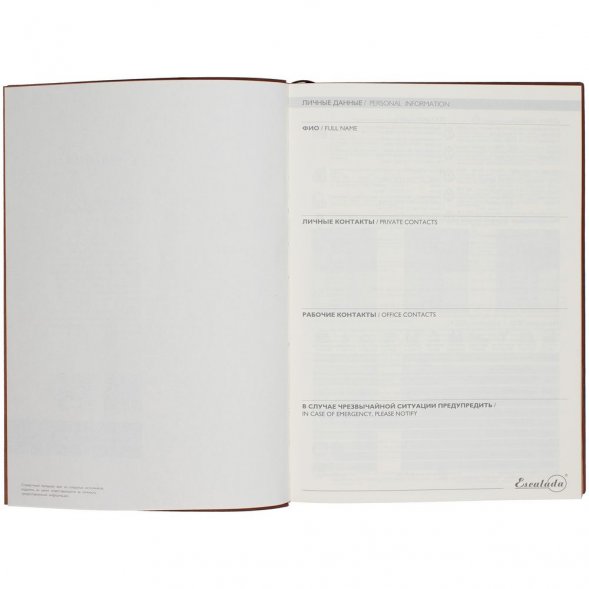 Ежедневник Avila, недатированный, черный 