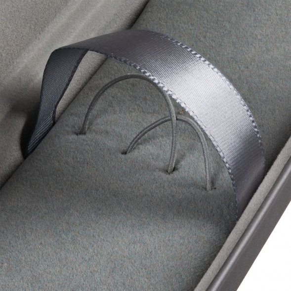 Футляр для ручек Coverty Plus, ver.2, серебристый 