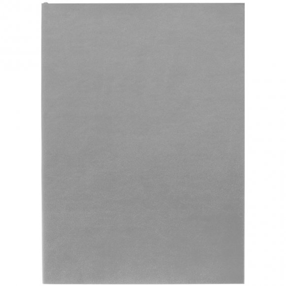 Ежедневник Flat Light, недатированный, серый 