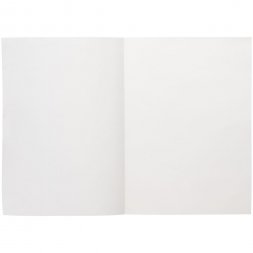 Ежедневник Flat Light, недатированный, серый