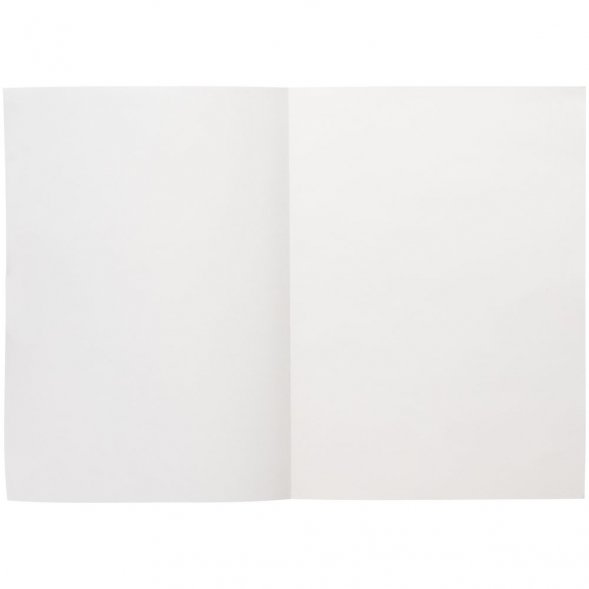 Ежедневник Flat Light, недатированный, серый 