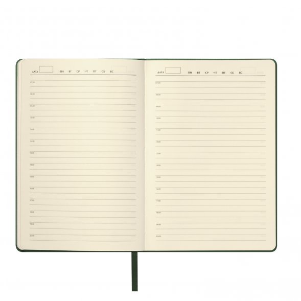 Ежедневник Molto недатированный, зеленый 