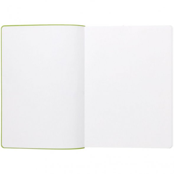 Ежедневник Flexpen, недатированный, серебристо-зеленый 