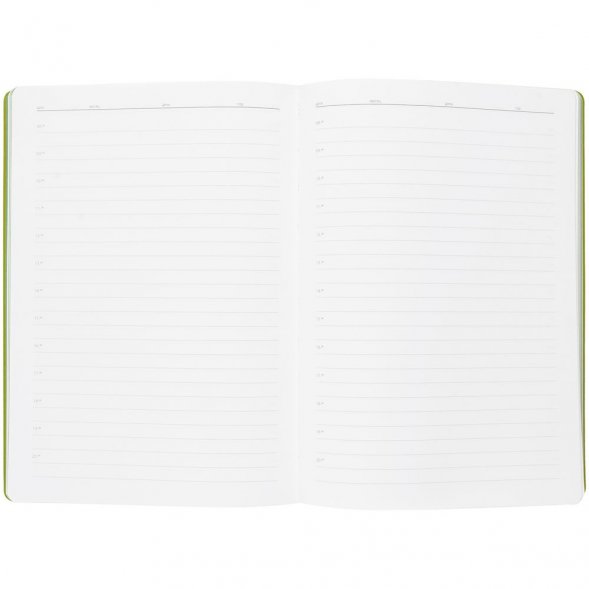 Ежедневник Flexpen, недатированный, серебристо-зеленый 