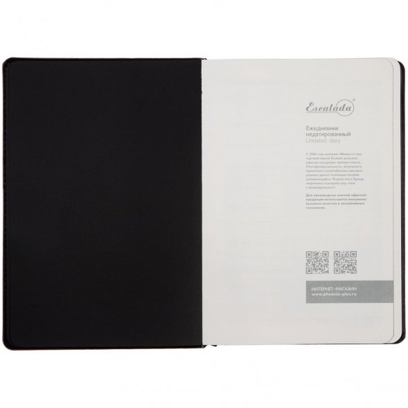 Ежедневник Alanis, недатированный, черный c синим 