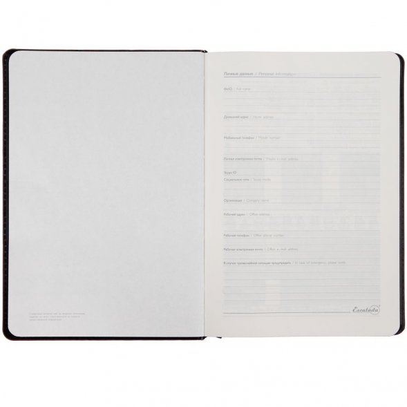 Ежедневник Alanis, недатированный, черный c синим 