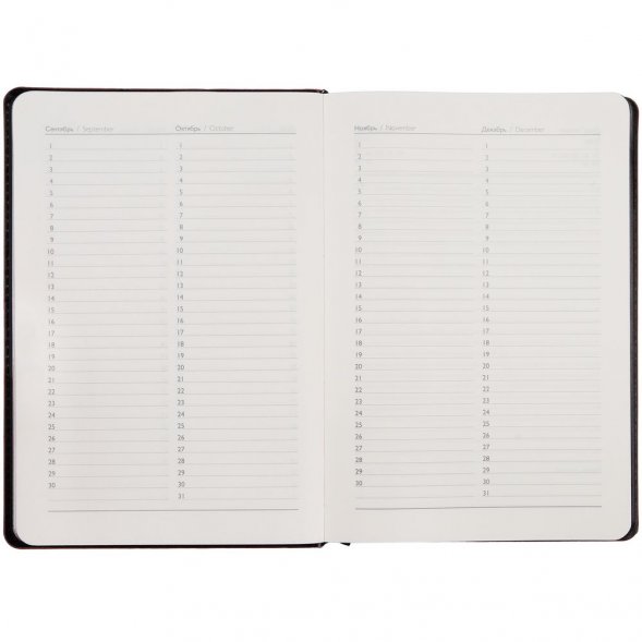 Ежедневник Alanis, недатированный, черный c синим 