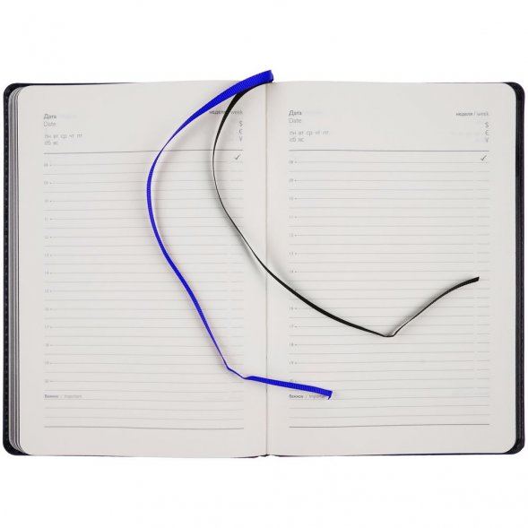 Ежедневник Alanis, недатированный, черный c синим 