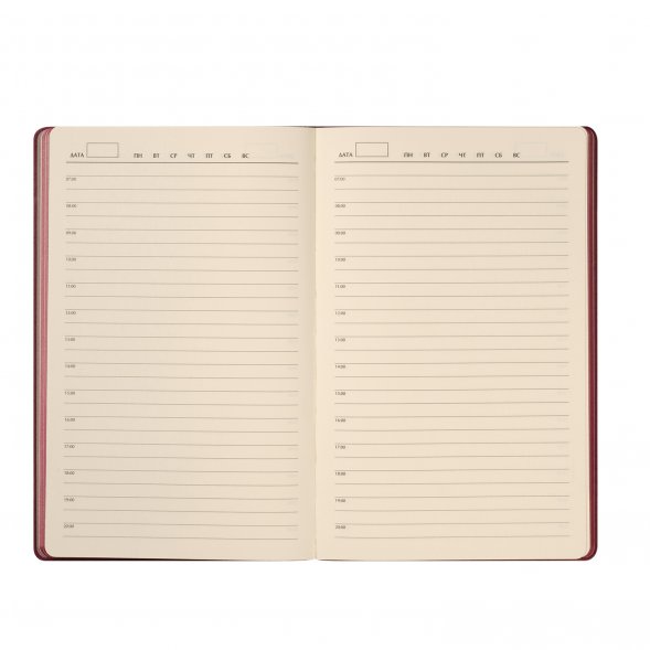 Ежедневник Rain недатированный, бургунди (без упаковки, без стикера) 