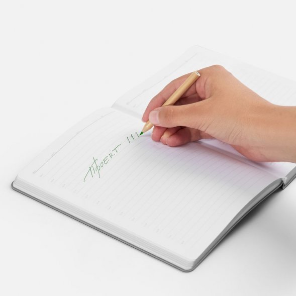 Набор цветных карандашей Pencilvania Mini, крафт 