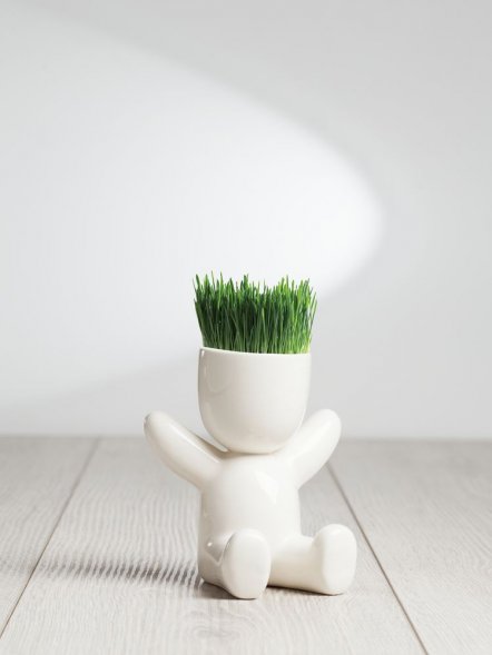 Набор для выращивания Funky Kid 