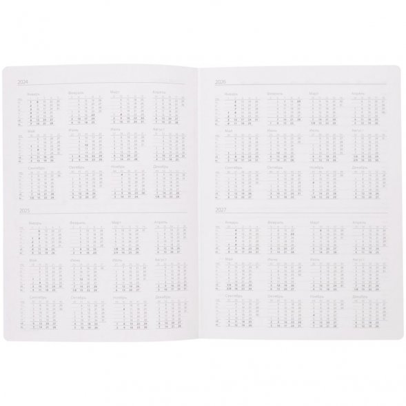 Ежедневник Flexpen, недатированный, серебристо-фиолетовый 