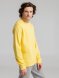 Свитшот унисекс BNC Inspire (Organic), желтый 