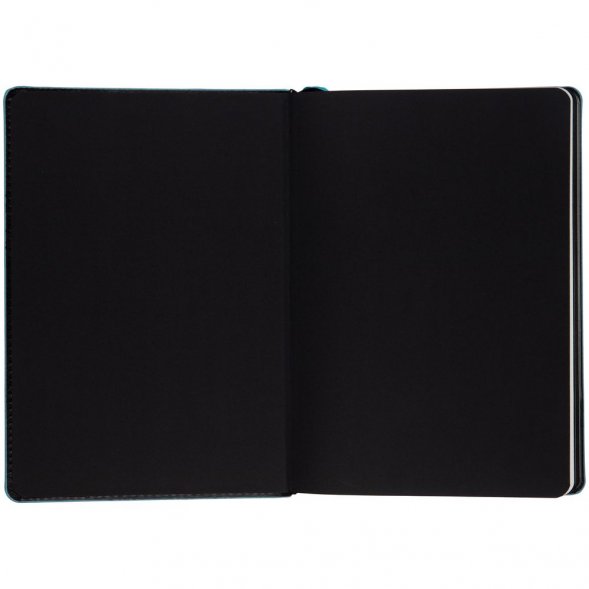 Ежедневник Alanis, недатированный, черный c голубым 