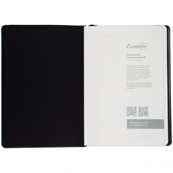 Ежедневник Alanis, недатированный, черный c голубым 