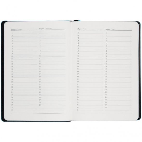 Ежедневник Alanis, недатированный, черный c голубым 