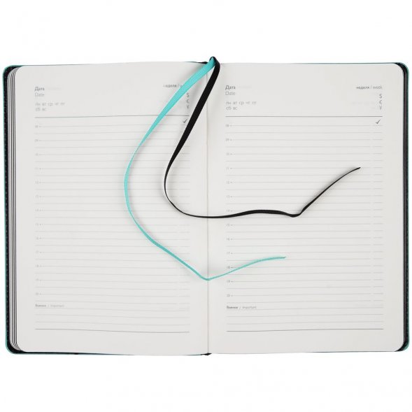 Ежедневник Alanis, недатированный, черный c голубым 