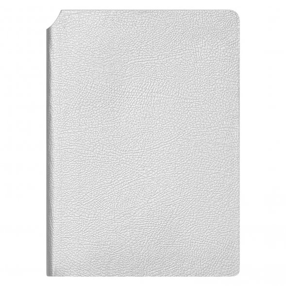 Ежедневник Molto недатированный, серебряный 