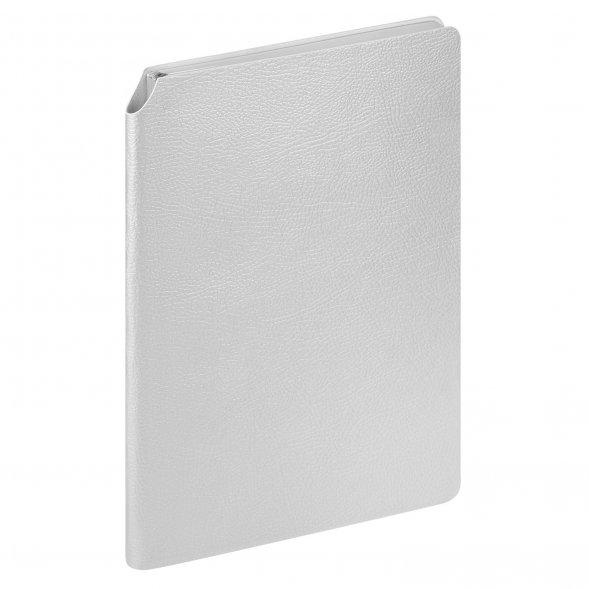 Ежедневник Molto недатированный, серебряный 