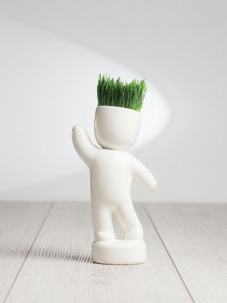 Набор для выращивания Funky Buddy 