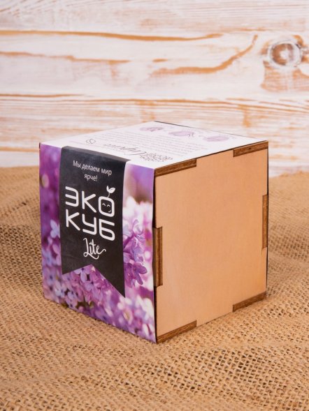 Набор для выращивания «Экокуб Lite», сирень 