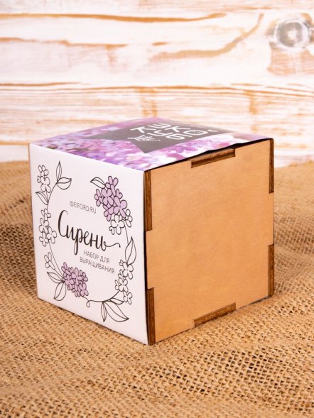 Набор для выращивания «Экокуб Lite», сирень 