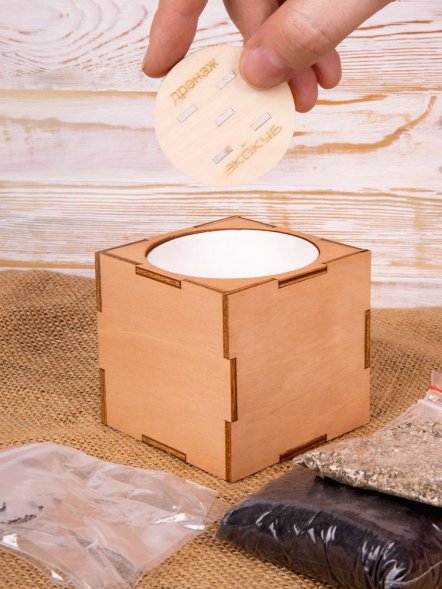 Набор для выращивания «Экокуб Lite», сирень 