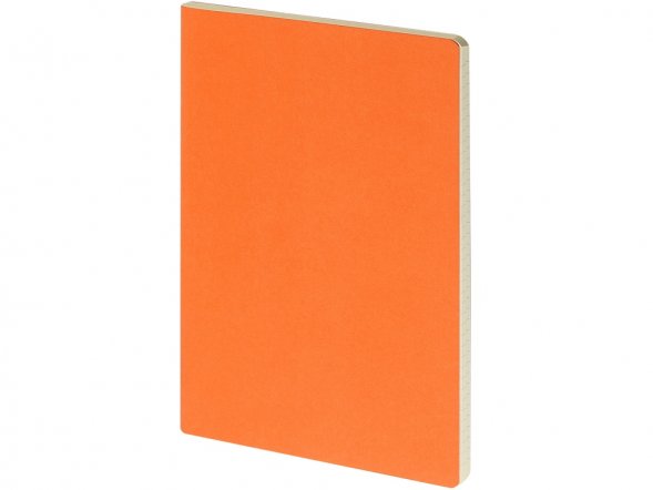 Бизнес тетрадь А5 Pragmatic, 40 листов в клетку, оранжевый 