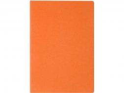 Бизнес тетрадь А5 Pragmatic, 40 листов в клетку, оранжевый