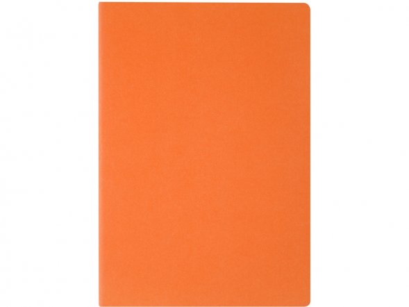 Бизнес тетрадь А5 Pragmatic, 40 листов в клетку, оранжевый 