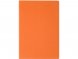 Бизнес тетрадь А5 Pragmatic, 40 листов в клетку, оранжевый 