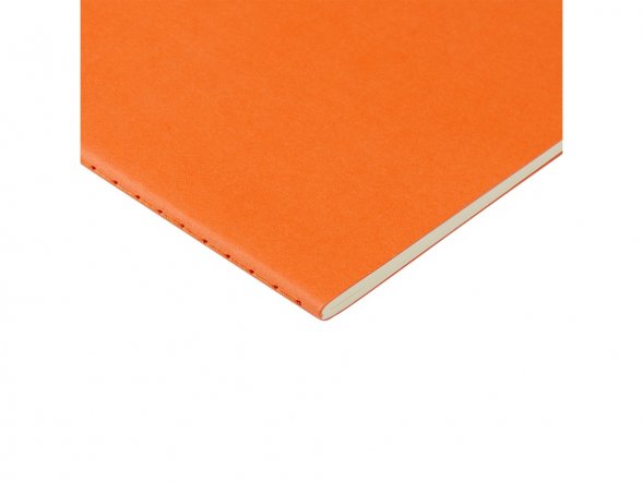 Бизнес тетрадь А5 Pragmatic, 40 листов в клетку, оранжевый 