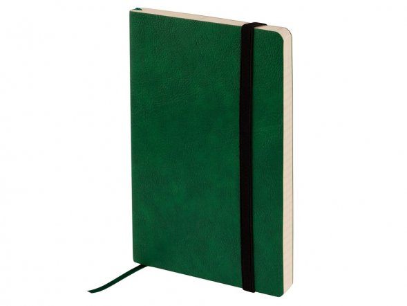 Ежедневник недатированный А5 Vincent new, зеленый 