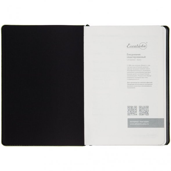 Ежедневник Alanis, недатированный, черный c зеленым 