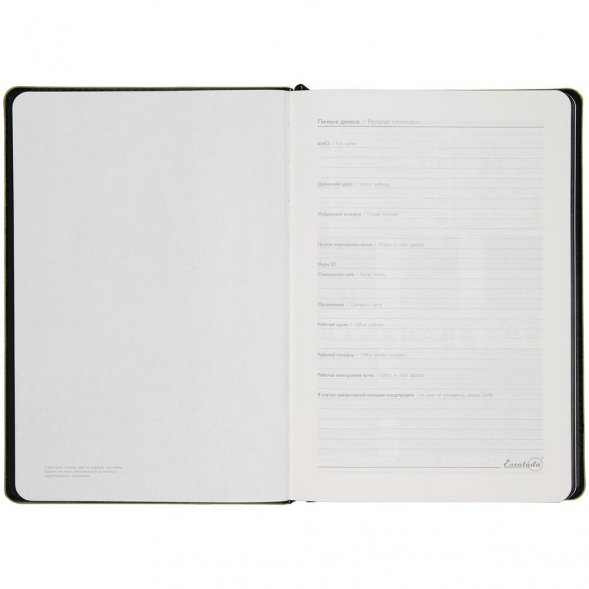 Ежедневник Alanis, недатированный, черный c зеленым 