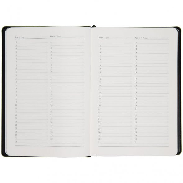 Ежедневник Alanis, недатированный, черный c зеленым 