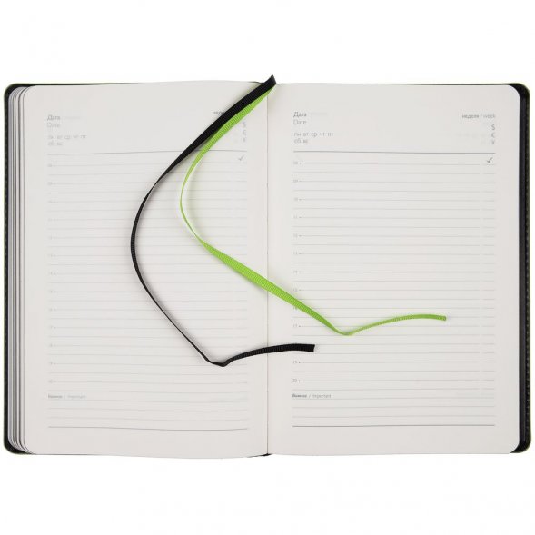 Ежедневник Alanis, недатированный, черный c зеленым 