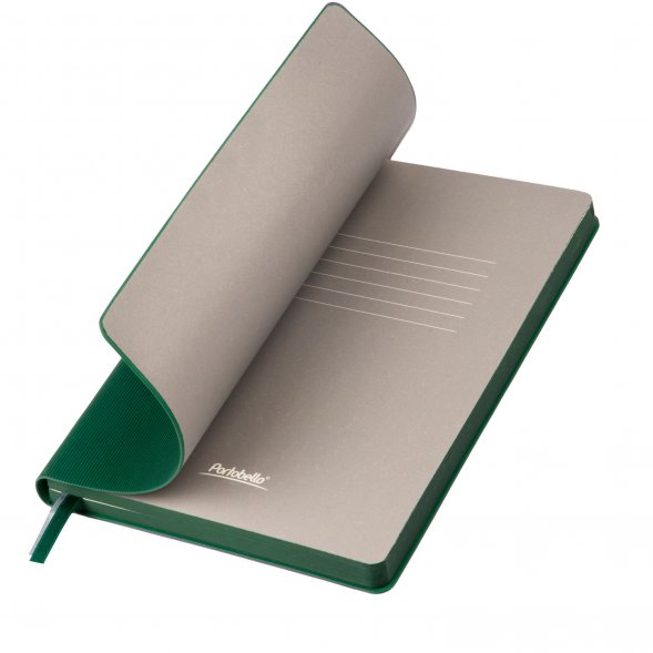 Ежедневник Rain недатированный, зеленый (без упаковки, без стикера) 