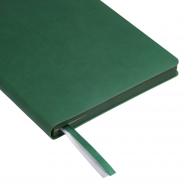 Ежедневник Rain недатированный, зеленый (без упаковки, без стикера) 