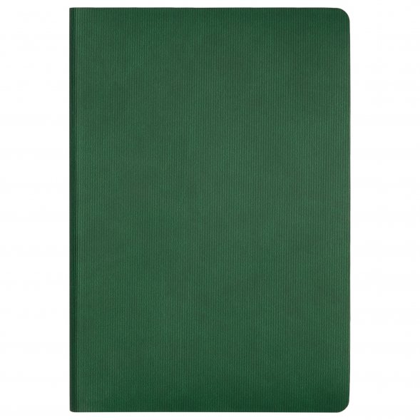 Ежедневник Rain недатированный, зеленый (без упаковки, без стикера) 
