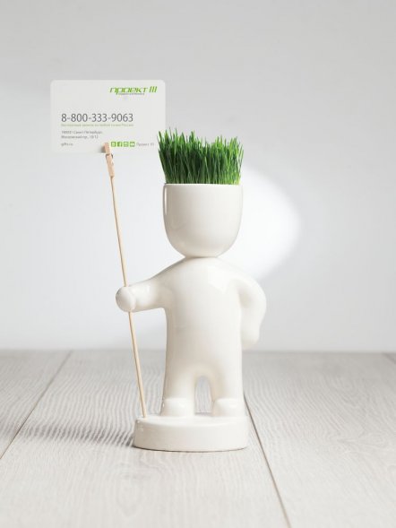 Набор для выращивания Funky Headman 