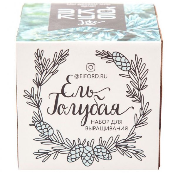 Набор для выращивания «Экокуб Lite», ель голубая 