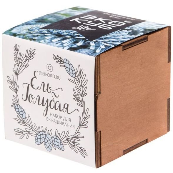 Набор для выращивания «Экокуб Lite», ель голубая 